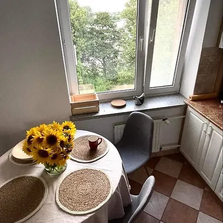 Apartament Slonecznikowy *
